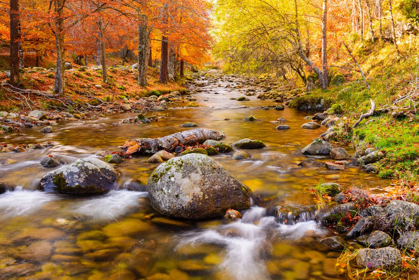 R&iacute;o en oto&ntilde;o en la Sierra de Cameros