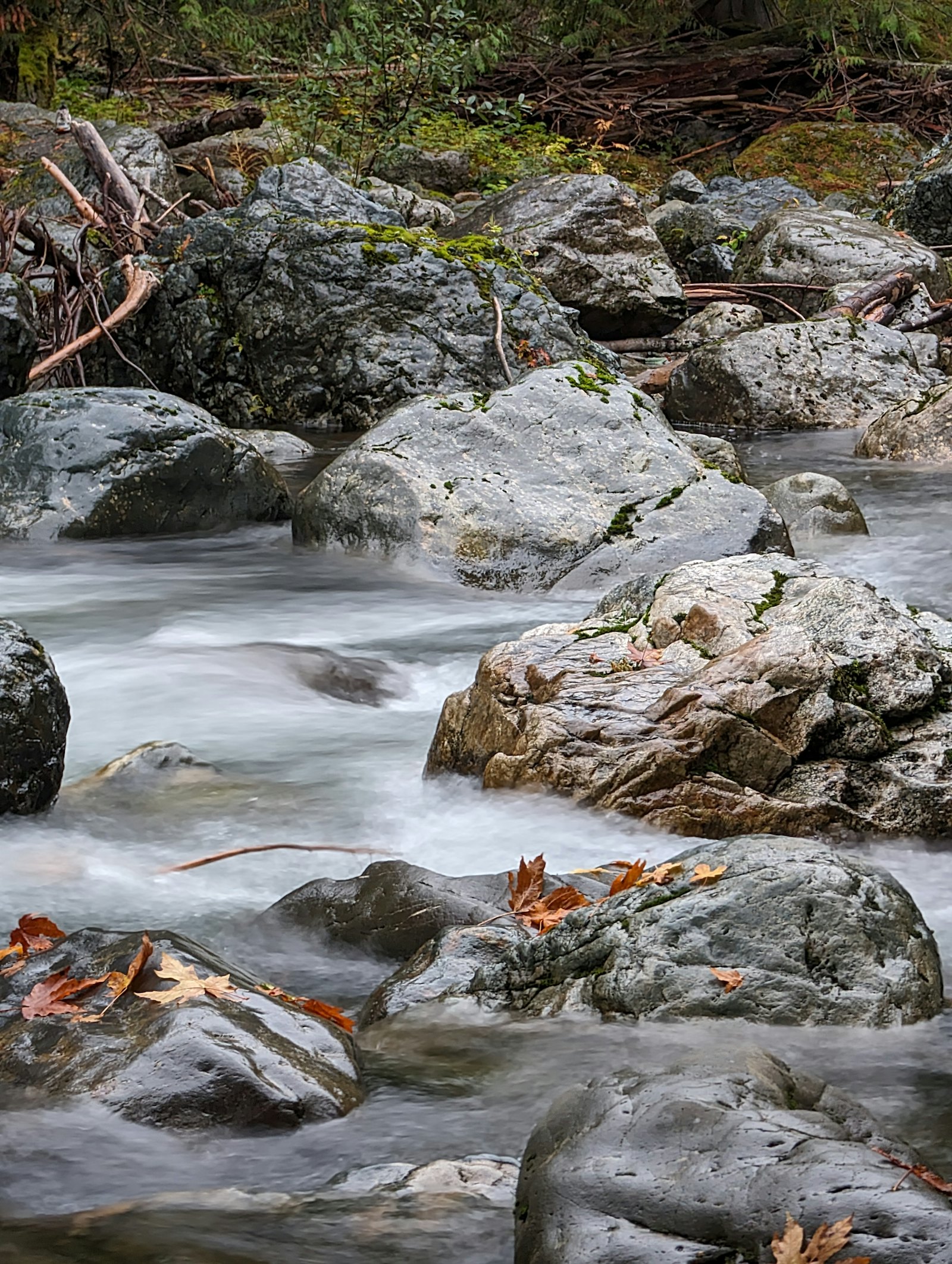 Agua cristalina brotando entre rocas de un manantial natural de monta&ntilde;a, imagen del origen del agua artesiana